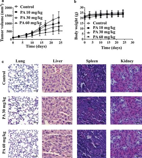 Pa Inhibits Tumor Xenograft Growth In Vivo A Anti Tumor Activity Of Pa