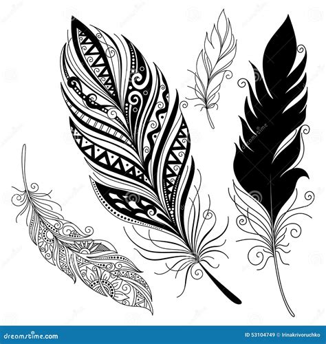 Vector Peerless Decorative Feather Stock Vector Image 53104749