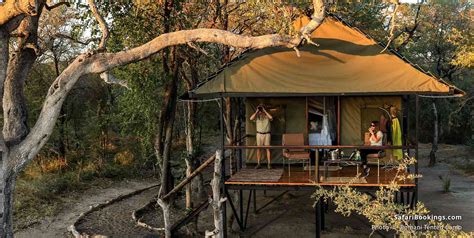 Top 7 Best Bush Camps In Zimbabwe Safaribookings