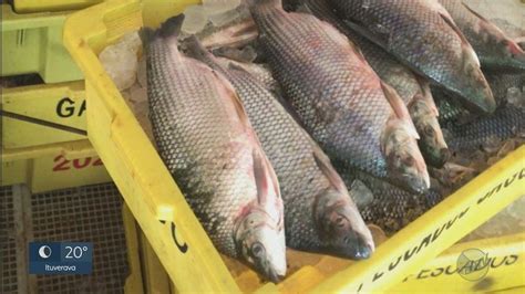 Pol Cia Ambiental Apreende Carga Tonelada De Peixes Em Col Mbia