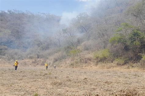 Santa Cruz 10 Incendios Afectan A Municipios Y Parques Nacionales Del