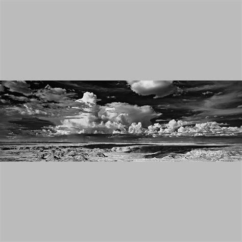 Painted Desert — Cody S Brothers