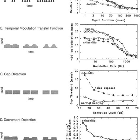 (PDF) Psychoacoustics