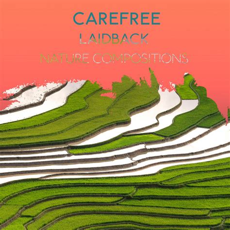 ZZz Carefree Laidback Nature Compositions ZZz Album By Nature Sounds