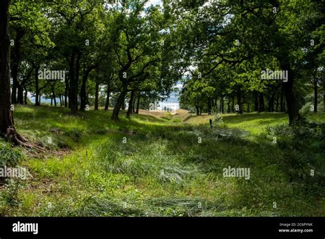 A Section Of The Antonine Wall West Of Rough Castle Fort A Roman