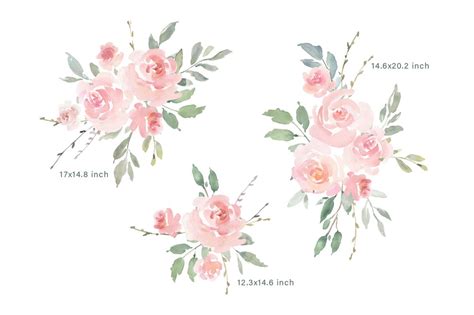 Pink Blush Watercolor Flowers Roses Png Collection Pink Rose Tattoos Watercolor Flowers