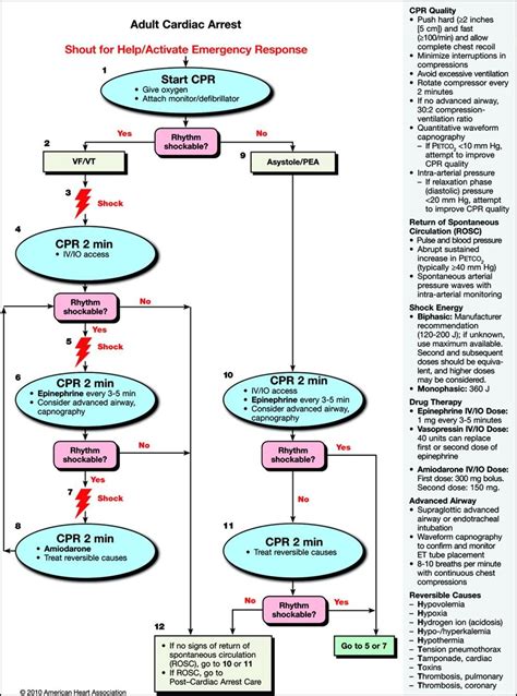 Acls Algorithms Free Printable