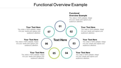 Functional Overview Example Ppt Powerpoint Presentation Icon Background