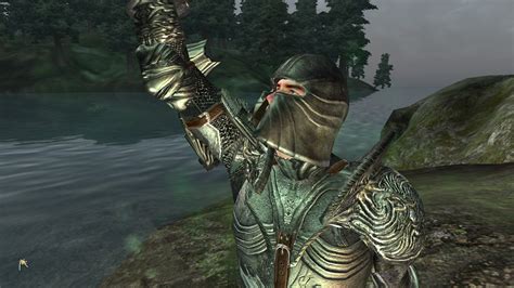 Blackwood Armor With Mail Retextured At Oblivion Nexus Mods And