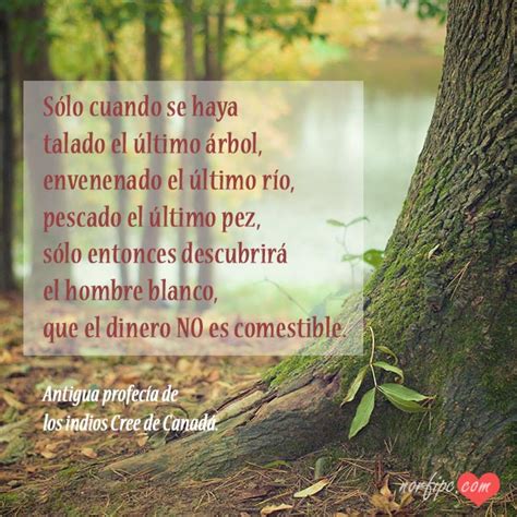 Introducir Imagen Frases Con Bosque Abzlocal Mx