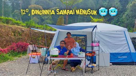 Camping Keluarga Di Djamuju Coffee Camp Camping Terdingin Di