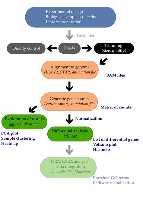 06 Differential Expression Analysis Introduction To Rna Seq