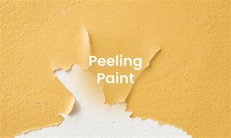 How to Prevent Peeling Paint – Noroo Paint