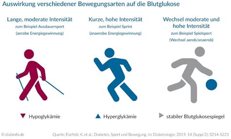 Diabetes Typ 1 und Bewegung Kurzüberblick für Fachkreise