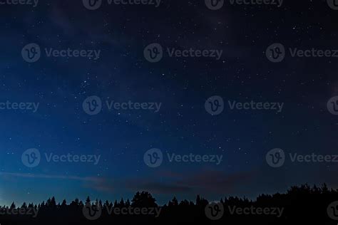 Night Starry Sky Over Forest Tree Silhouettes Against Backdrop Of