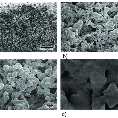 Sem Micrographs Of M2 Acemannan Aerogels At 200× A 1000× B 2000× Download Scientific