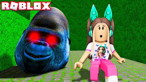 FUJA DO GORILA CABEÇÃO Roblox YouTube