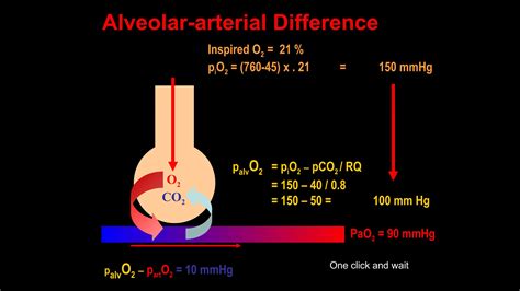 acid base examples of cases. presentation | PPT