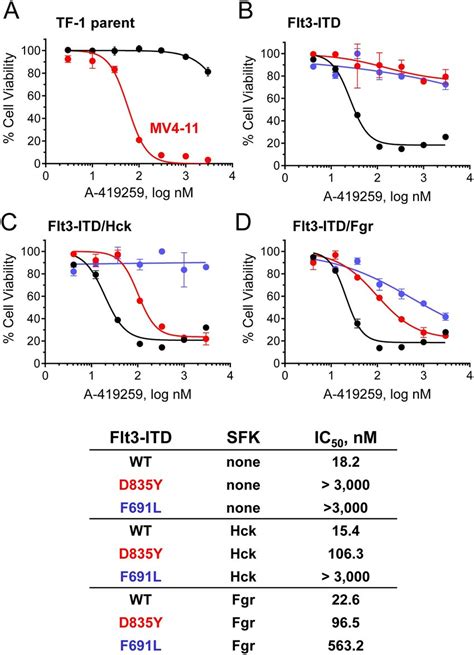 Transformation By Flt Itd Sensitizes Tf Myeloid Cells To Growth