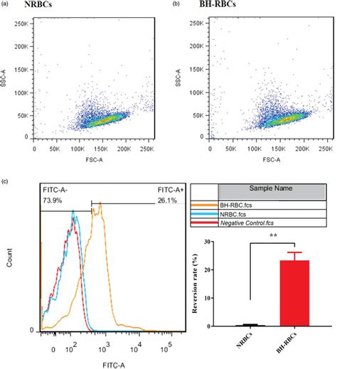 Ps Surface Exposure Of Nrbcs And Bh Rbcs A And B Fsc Ssc Scatter