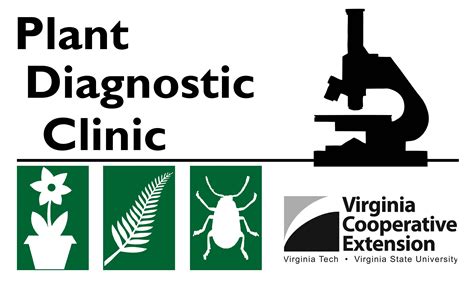 Submit A Sample To The Diagnostic Clinic Henrico County Virginia Tech