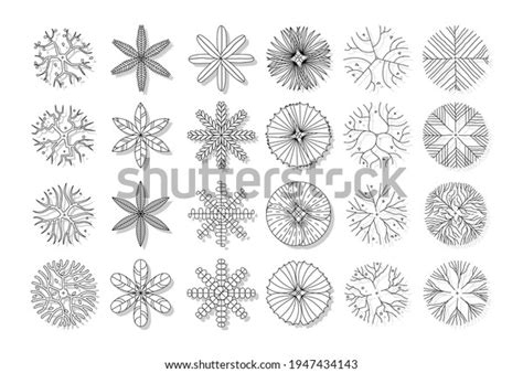 Vector Set Top View Tree Isolated Stock Vector (Royalty Free) 1947434143 | Shutterstock