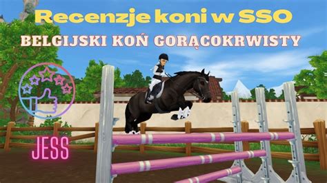 Recenzje koni w SSO Belgijski koń gorącokrwisty Jess SSO YouTube