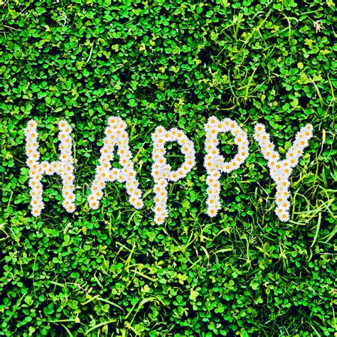 Happy Song And Lyrics By Grass N Hopper Spotify