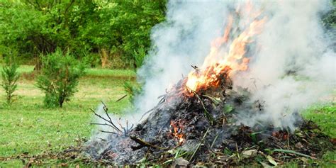 Feuilles branches A t on encore le droit de brûler ses déchets au