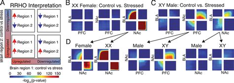 Inter Brain Region Differential Expression Patterns Reveal Sex Specific Download Scientific