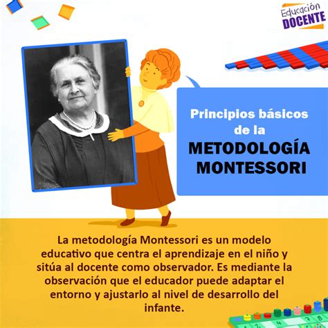 Principios Básicos De La Metodología Montessori Expertos En Educación Blog De Educación Docente