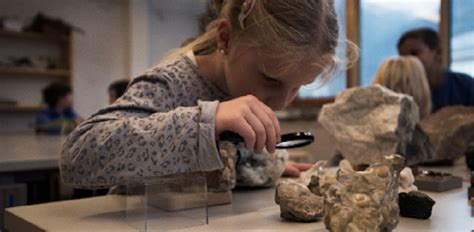 Museo Geologico Delle Dolomiti Il Trentino Dei Bambini