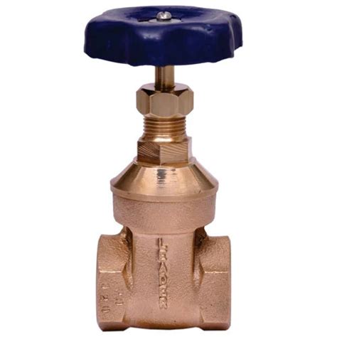 Leader Blowdown Valve Awal Valves Manufacturers In India