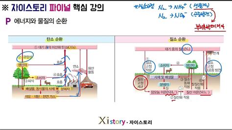 생명과학1 P단원 에너지와 물질의 순환2 개념강의 Youtube