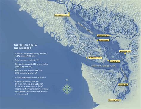 About the Salish Sea — SeaDoc Society