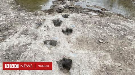 El Asombroso Hallazgo De Las Huellas De Un Dinosaurio Que Quedaron