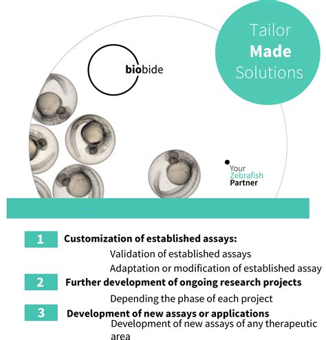 Tailor Made Solutions | Biobide