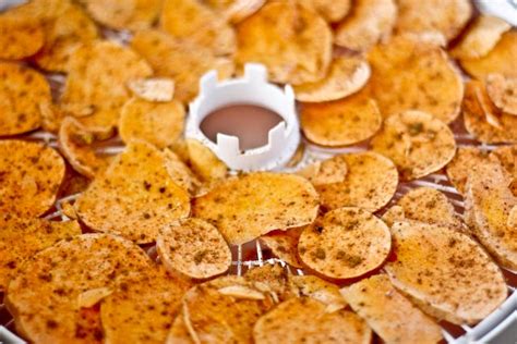 Dehydrator Sweet Potato Chips Recipe Rutrend