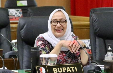 Profil Anna Muawanah Bupati Perempuan Pertama Di Bojonegoro GenPI Co