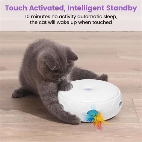 Happy Hachi Jouets Interactifs Pour Chats Jouet Plumeau Rechargeable