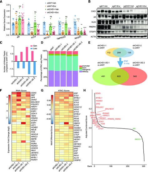 Rnaseq Analysis Reveals Functionally Discrete Groups Of