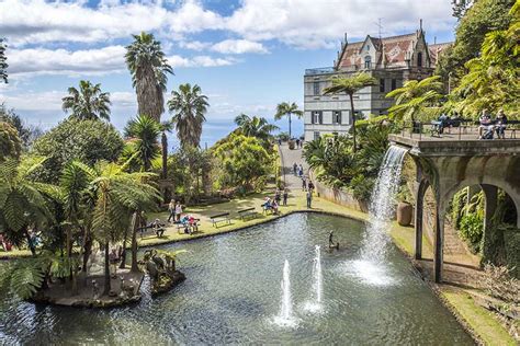 Funchal A Capital Da Madeira Enjoy Trip