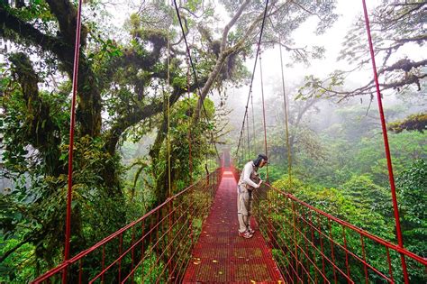 Beste Reisezeit Costa Rica Papaya Tours