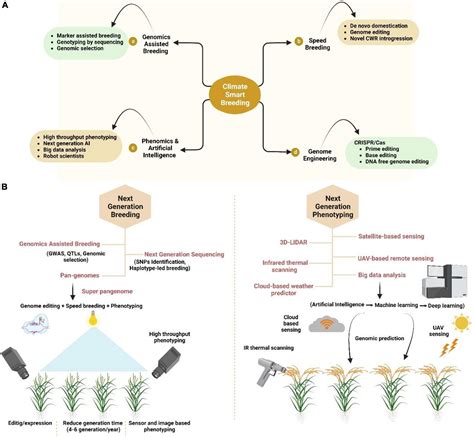 Frontiers Smart Breeding Approaches In Post Genomics Era For