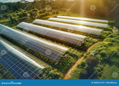 Greenhouses And Solar Panels Stock Photo Image Of Sunlight Green