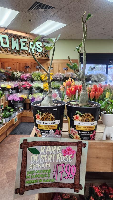 I've never seen Adenium before although I was raised and grew up in a ...