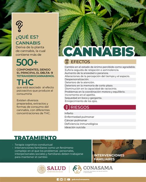 Cannabis Comisión Nacional de Salud Mental y Adicciones Gobierno