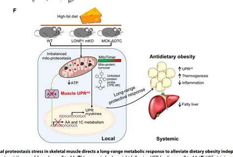 Professor Zhenji Gans Group Published A Paper About A New Mechanism Of