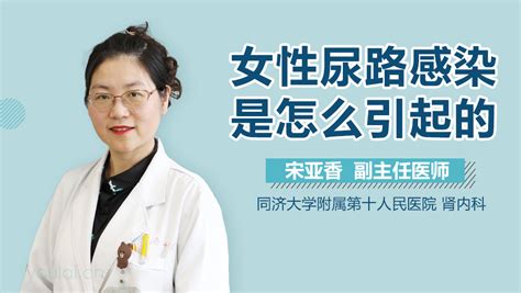 尿路感染视频 在线播放 有来医生