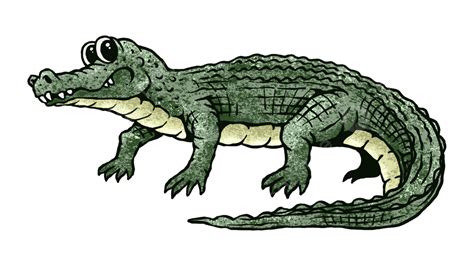 Alligator In Cartoon Style Alligator Clipart Cartoon Clipart